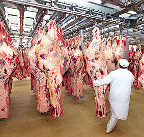 Angus eti 12 liradan marketlere satılacak
