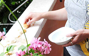 Kuşlara yem vermenin cezası 25 TL