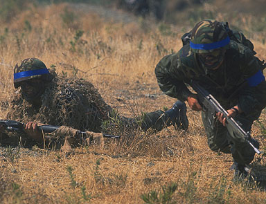 PKK’nın silahı Türk askerininkinden daha mı iyi