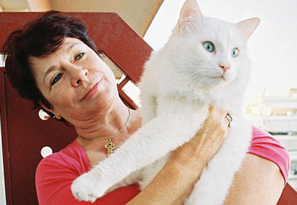 Kıbrısta tarafların arasına kedi girdi
