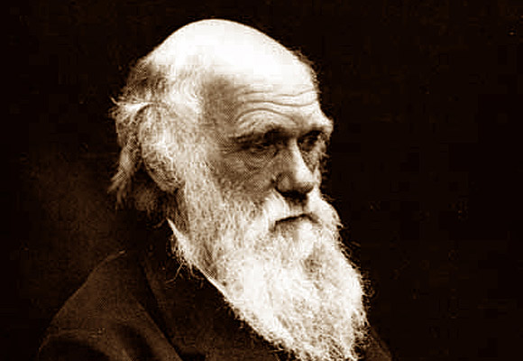 Darwinin Türlerin Kökeni açık artırmada