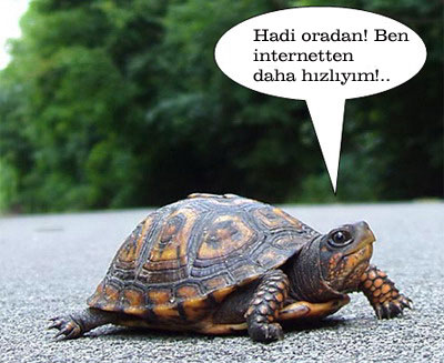 Türkiyenin interneti kaplumbağa hızında