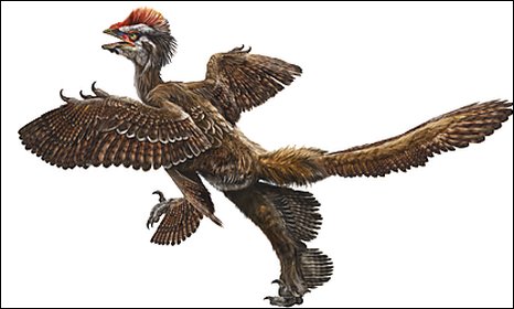 Dört kanatlı tüylü dinozor