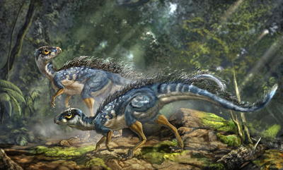 Tüylü dinozor fosili bulundu