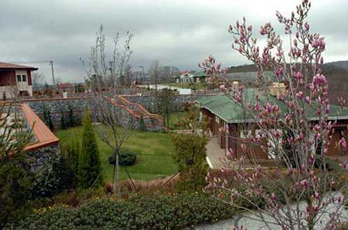 Bakanlık ruhsatın iptali için dava açacak