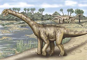 Utahta iyi korunmuş dinozor fosilleri bulundu