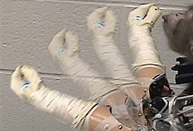 Düşünceyle robot kolu hareket ettirildi