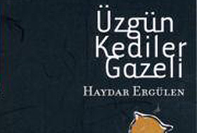 Metin Altıok Şiir Ödülü Haydar Ergülenin