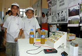 İneğim elektrik üretiyor