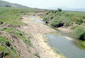 Asi Nehri su bekliyor