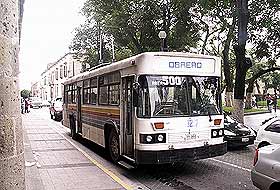 Mexico Cityde kadınlar otobüsü