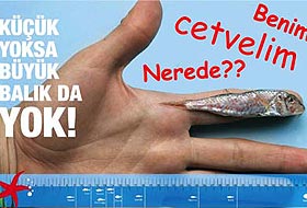 Greenpeacein Yavru Balık kampanyası