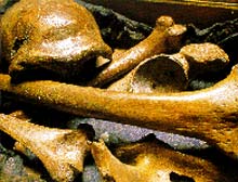 Neanderthallerin gen haritası çıkarılıyor