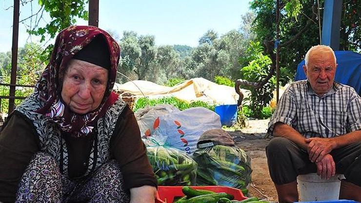 Oğlumuzun suçu varsa cezasını çeksin