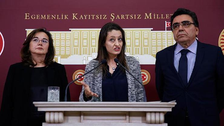 Şafak Pavey: Türkiye, ILO anlaşmalarını uygulamıyor