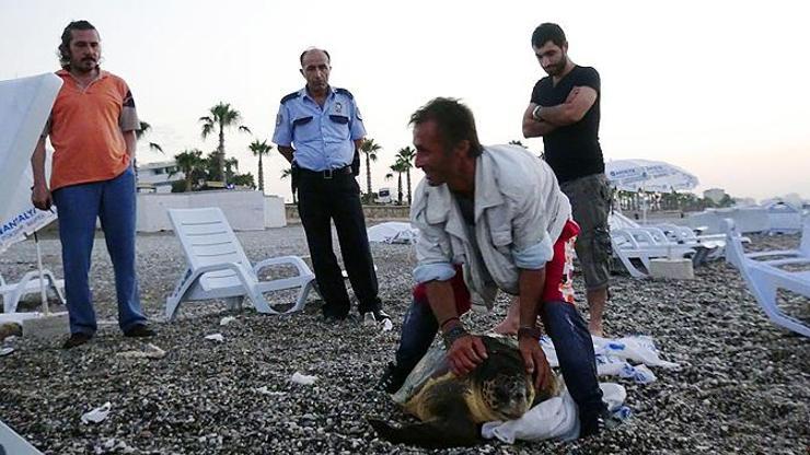 Caretta carettayı çuvala koyup...