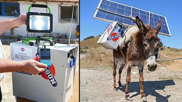 Egede güneş enerjili eşek devrimi
