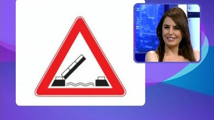 Aysu Baceoğlunun trafik levhaları ile imtihanı
