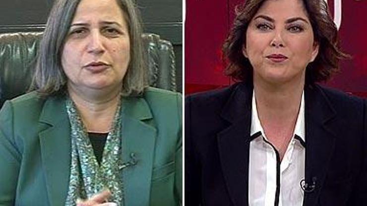 Bu farklı bir çevrenin bir provokasyonudur