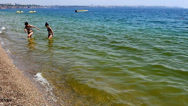 Antalyada deniz yeşile dönüştü, balıklar öldü