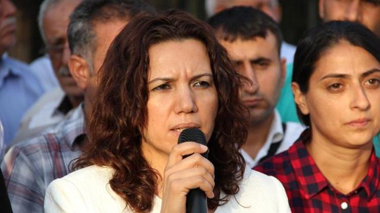 Kürtçe okullar için başvuru