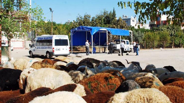 Kurban alırken bunlara dikkat