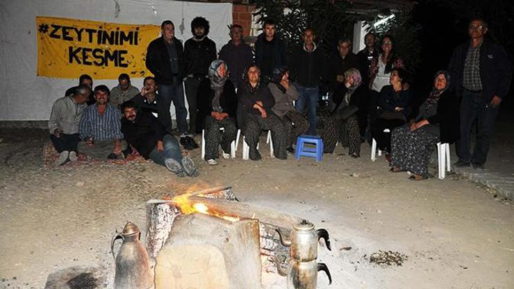 Zeytinliklerini için gece boyunca nöbet tutuyorlar