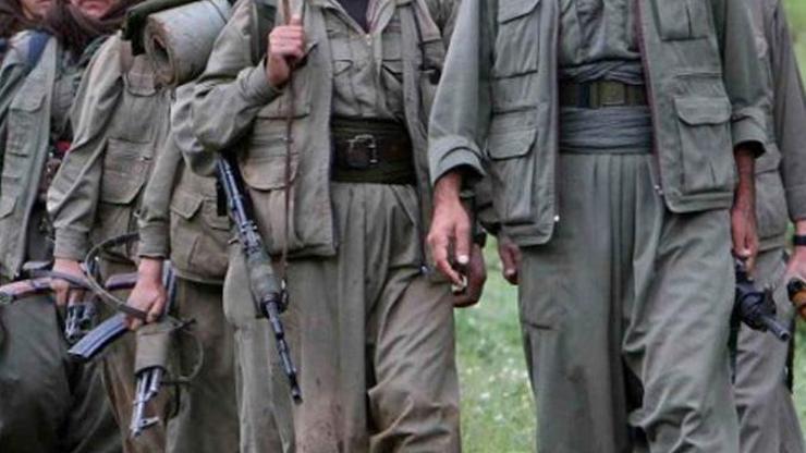 8 PKKlı teslim oldu