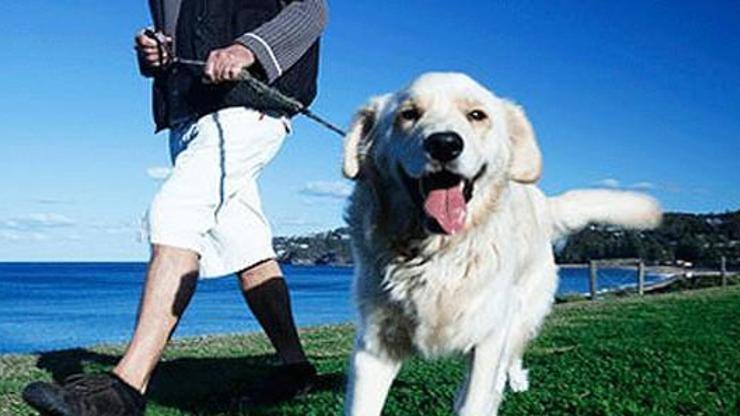 İranda köpekle oynamanın cezası 74 kırbaç