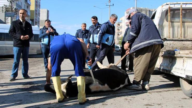 Silopi Belediyesinden tepki çeken uygulama