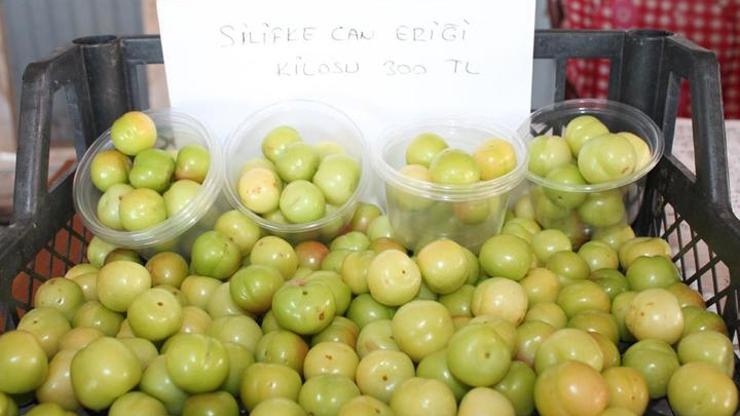 1 kilo erik 300 lira