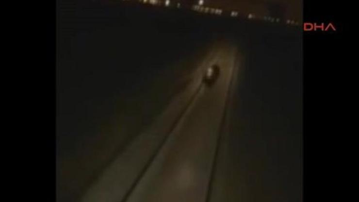Tren makinistleri raylara giren ayıya çarparken böyle eğlendi