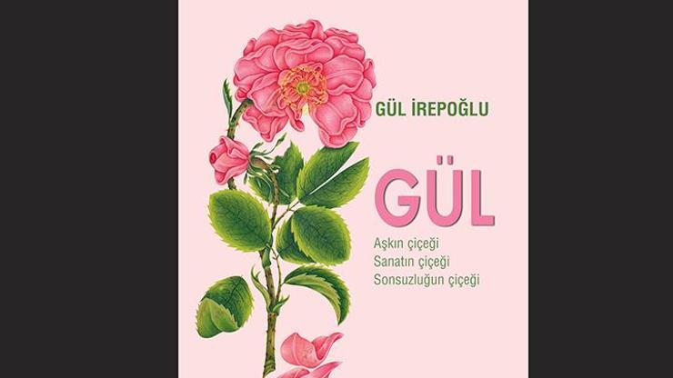 Tarihten günümüze: Gül