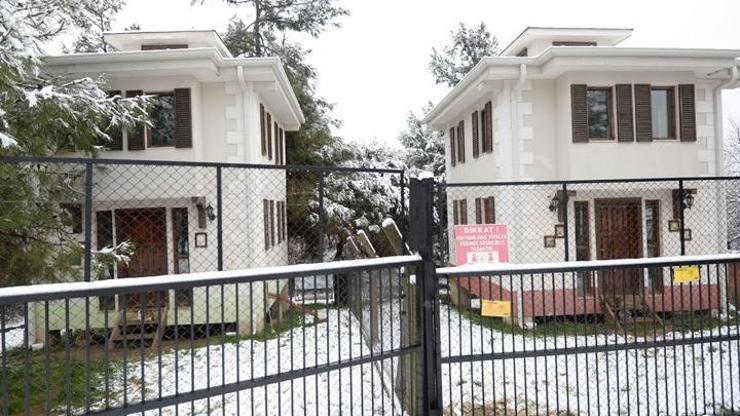 Sahipsiz kediler için sıcak villa