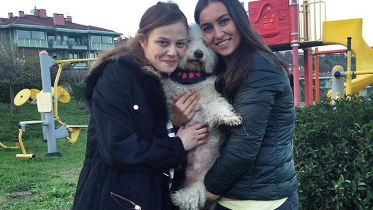 Naz Elmas ve köpekleri Can Dostum’da