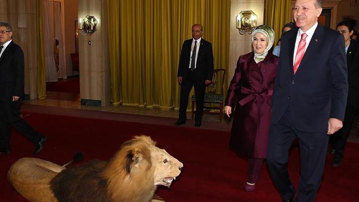 Cumhurbaşkanı Erdoğan Somaliye gitmiyor
