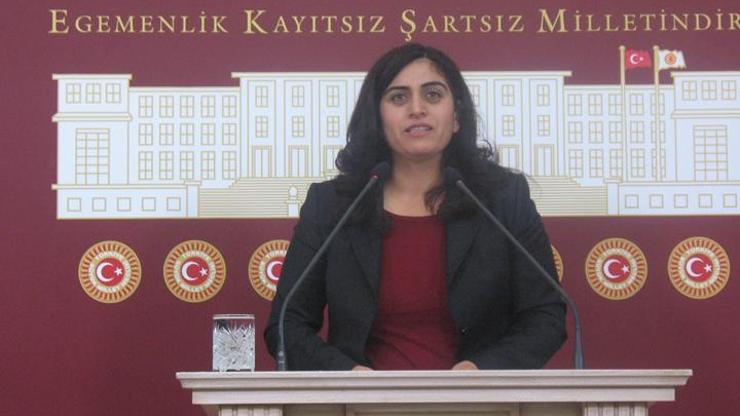 Öcalan örgütle bizzat görüşmeli