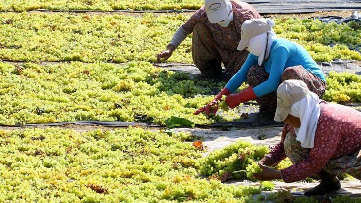 Kadınlar temsilde de eşit değil: 26 bakanın, 25 müsteşarın, yalnızca 1i kadın