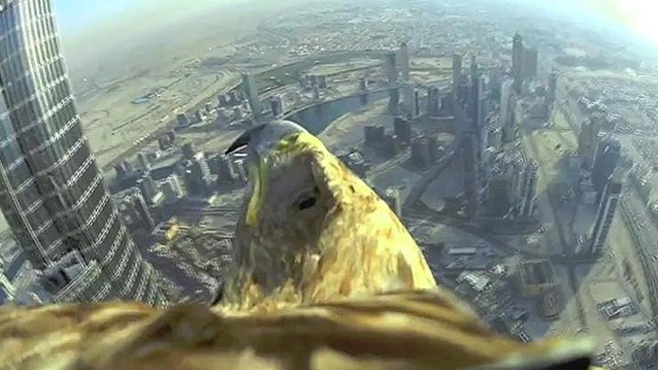 Burj Khalifanın tepesinden bıraktılar ve...