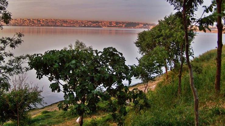 Suriyeliyi başından vurdular