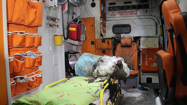 Ambulansa molotof kokteyli atıldı