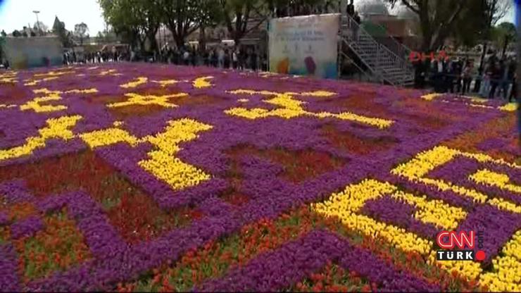 Sultanahmet Meydanına 545 bin laleden halı motifi