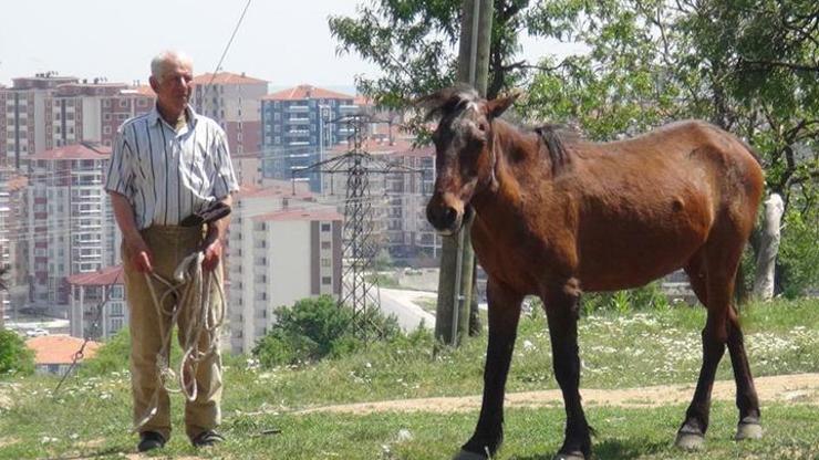 Beş bin lira maaşlı çoban işi bıraktı