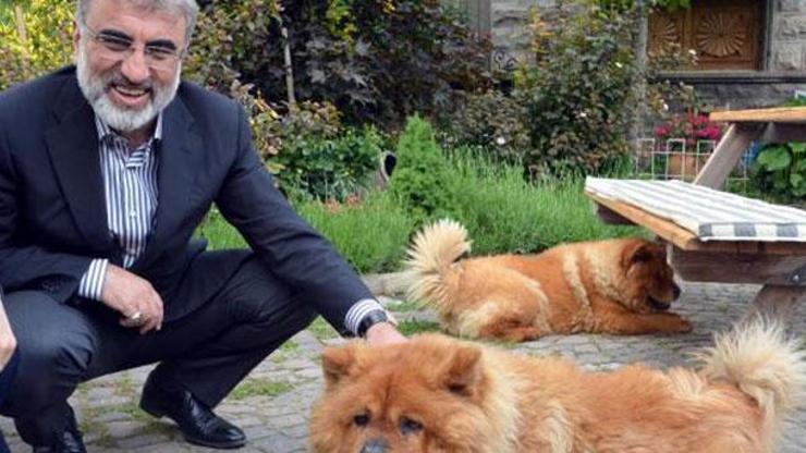 Taner Yıldızdan veterinerlere kedi yanıtı