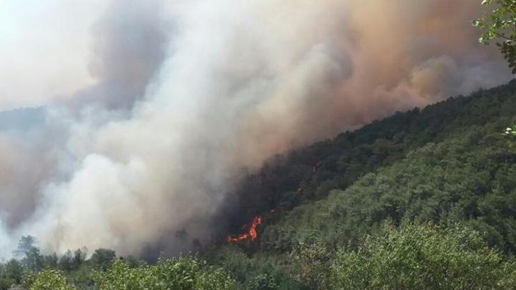 Mersinde orman yangını nedeniyle bir mahalle boşaltıldı