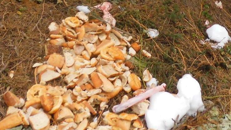 1 yılda çöpe giden ekmek 1,4 milyon asgari ücrete bedel