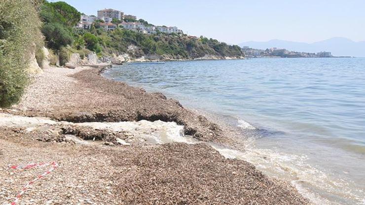 Kuşadasında iki plaj vatandaşlara kapatıldı