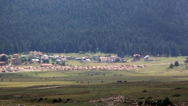 Boluda 51 bin hektar yeşil alan imara açıldı