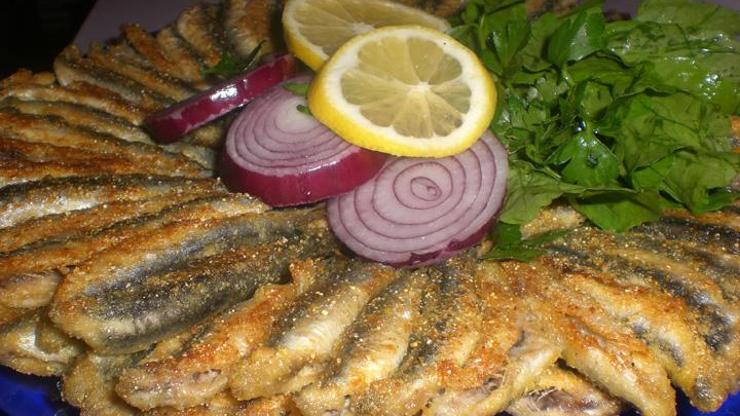 Hamsinin kilosu 15 TLye dayandı