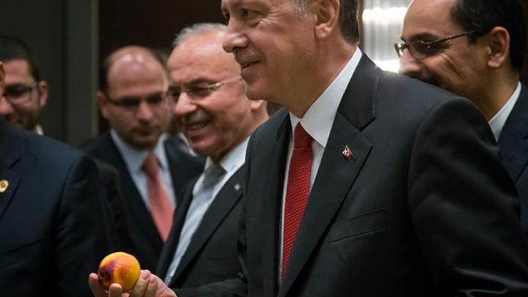 G20 Zirvesinde Erdoğanla gazeteciler arasında ilginç nektarin diyaloğu
